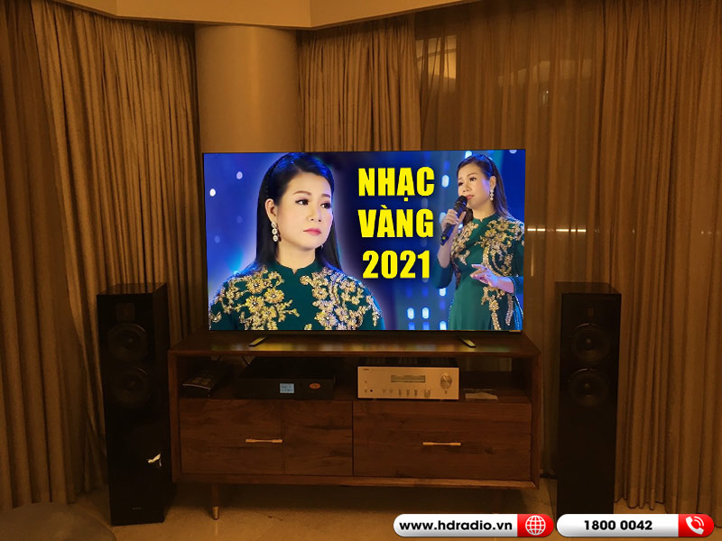 Ảnh công trình dàn nghe nhạc Piega, Yamaha NN83