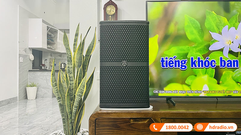 Dan karaoke cua anh Son