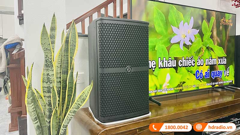 Dan karaoke cua anh Son