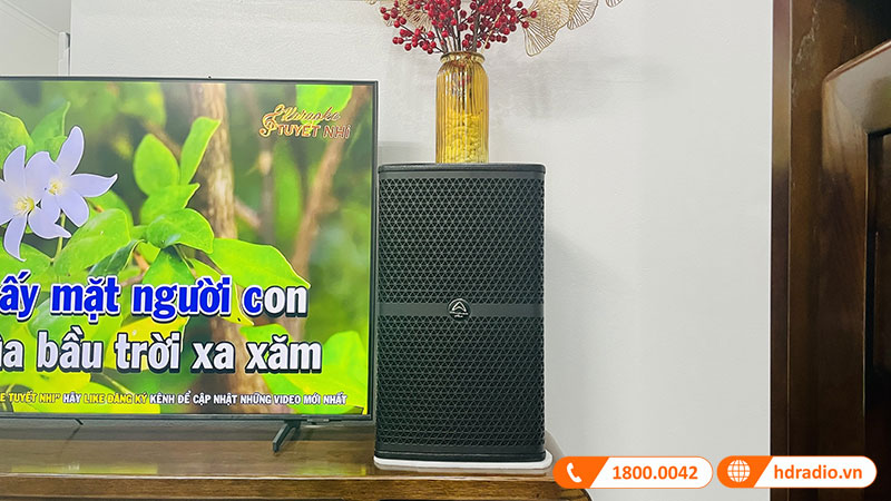 Dan karaoke cua anh Son