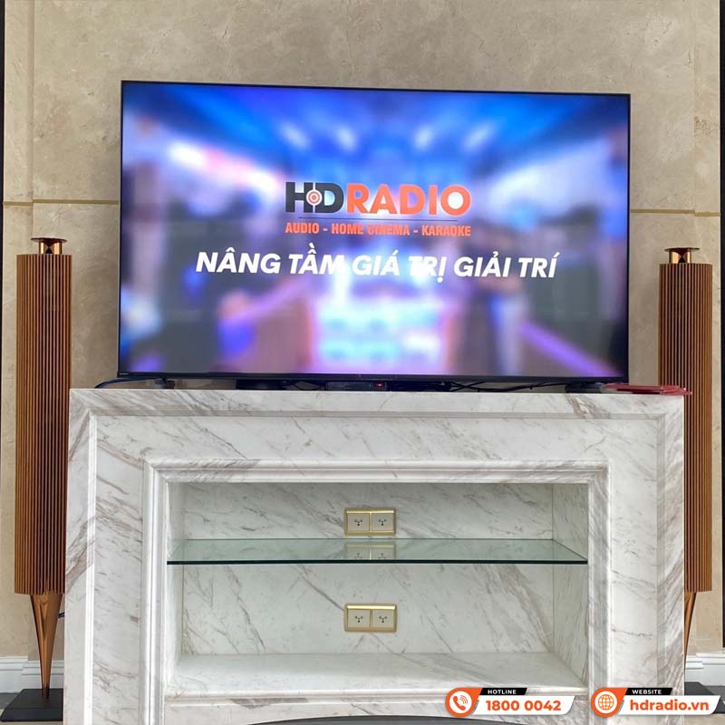 Loa B&O Beolab 18 Chính Hãng, Công Suất 320W/ chiếc, Bluetooth, Wifi, Optical, RCA, Kết nối đa phòng (Cặp loa đứng Hi-End)-10