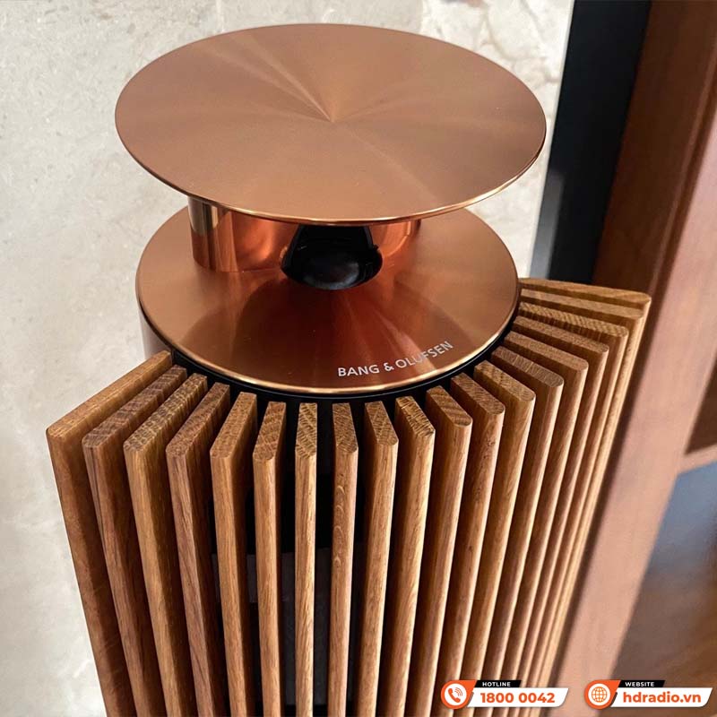 Loa B&O Beolab 18 Chính Hãng, Công Suất 320W/ chiếc, Bluetooth, Wifi, Optical, RCA, Kết nối đa phòng (Cặp loa đứng Hi-End)-16