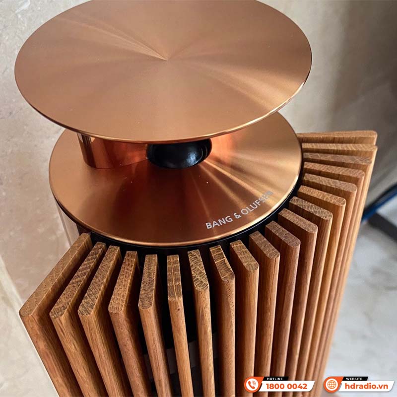 Loa B&O Beolab 18 Chính Hãng, Công Suất 320W/ chiếc, Bluetooth, Wifi, Optical, RCA, Kết nối đa phòng (Cặp loa đứng Hi-End)-15