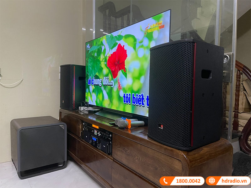Dàn karaoke cao cấp HDR80 (Tecnare E10, Công suất, Vang số, Micro K800, Loa Sub )-2