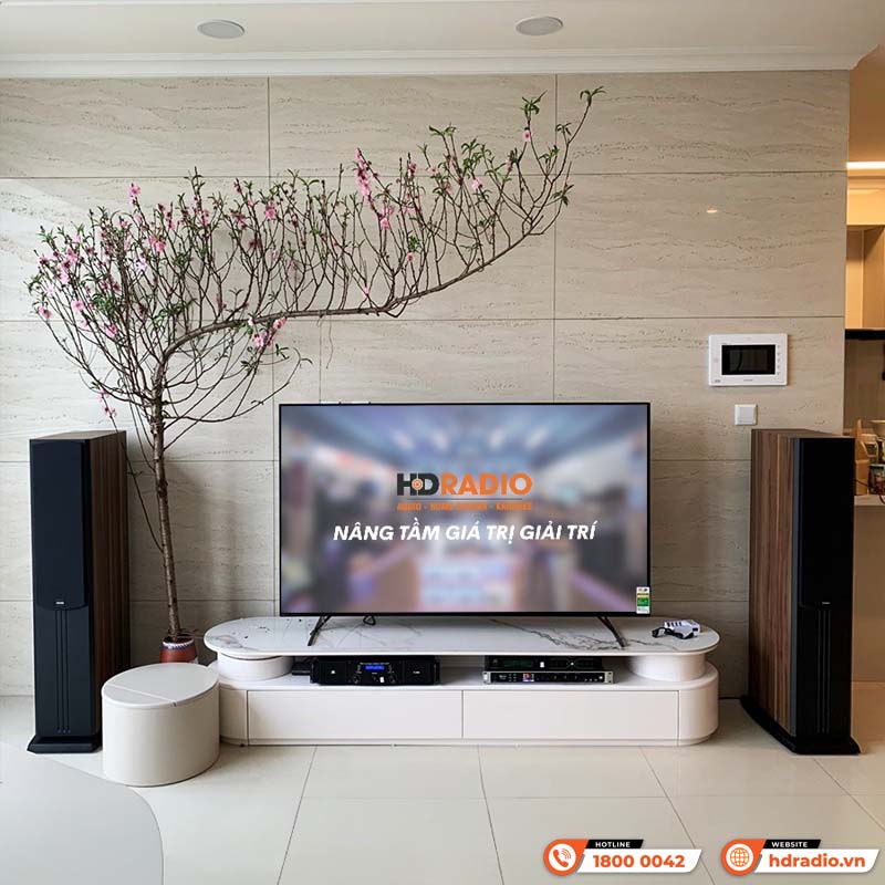 Dàn karaoke Paramax HK20 (Paramax D88 Limited, Neko DK1000, Công suất, Micro K300)-11