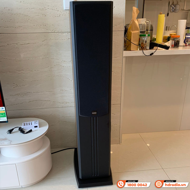 Lắp dàn karaoke paramax HK20 hơn 27 triệu cho chị Chinh