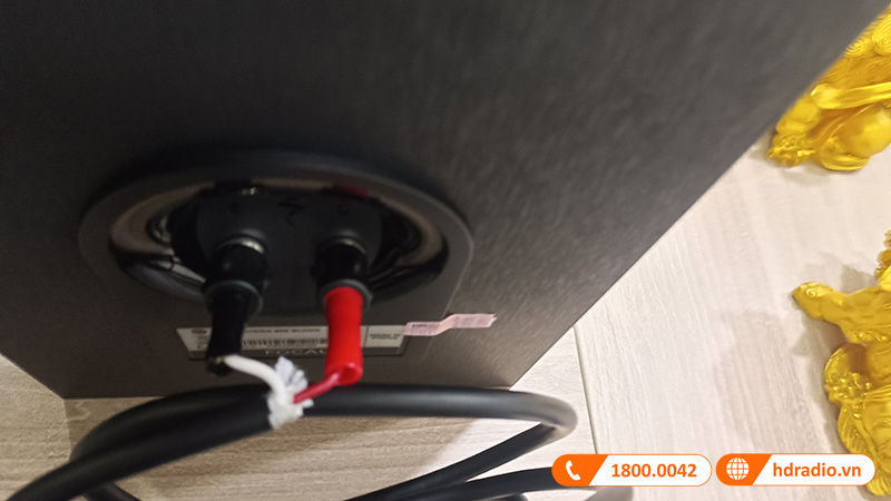 Dan nghe nhac cua chu Phu