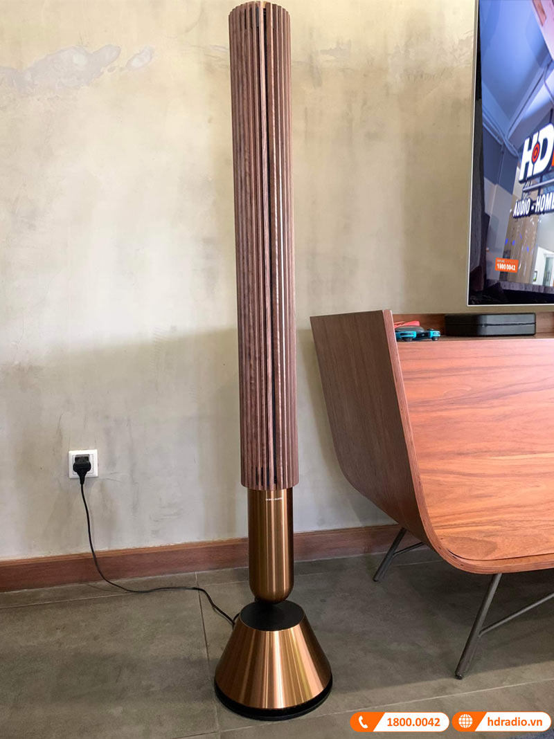 Lắp đặt bộ loa B&O cao cấp gần 550 triệu động cho Mr Vladimir Dmitriev ở phường Phú Mỹ, Quận 7, HCM