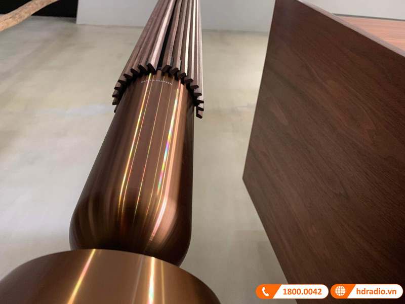 Lắp đặt bộ loa B&O cao cấp gần 550 triệu động cho Mr Vladimir Dmitriev ở phường Phú Mỹ, Quận 7, HCM