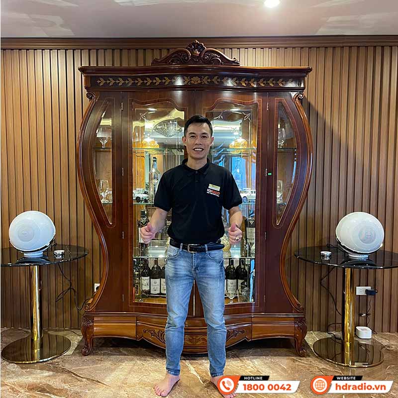 Loa Cabasse The Pearl, Công Suất 1600W, Kết nối đa phòng, Wifi, Optical, RCA, USB-19