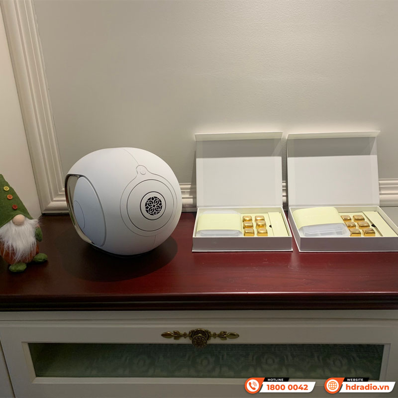 Lắp đặt cặp Loa DEVIALET Phantom I 103DB cho anh Nicolas Goelen