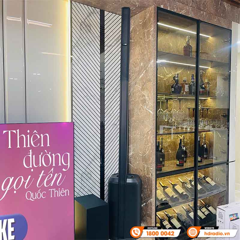 Dàn Karaoke Bose HK10 ( Bose L1 Pro8, X9900 Pro, K800)-12