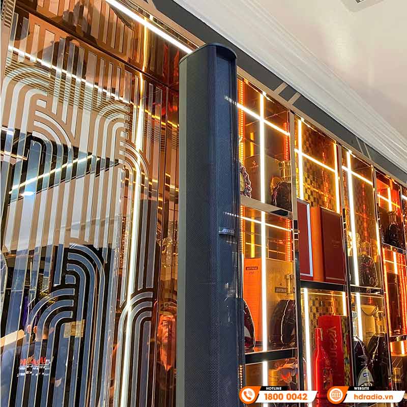 Lắp đặt Dàn Karaoke Bose HK11 cao cấp cho anh An