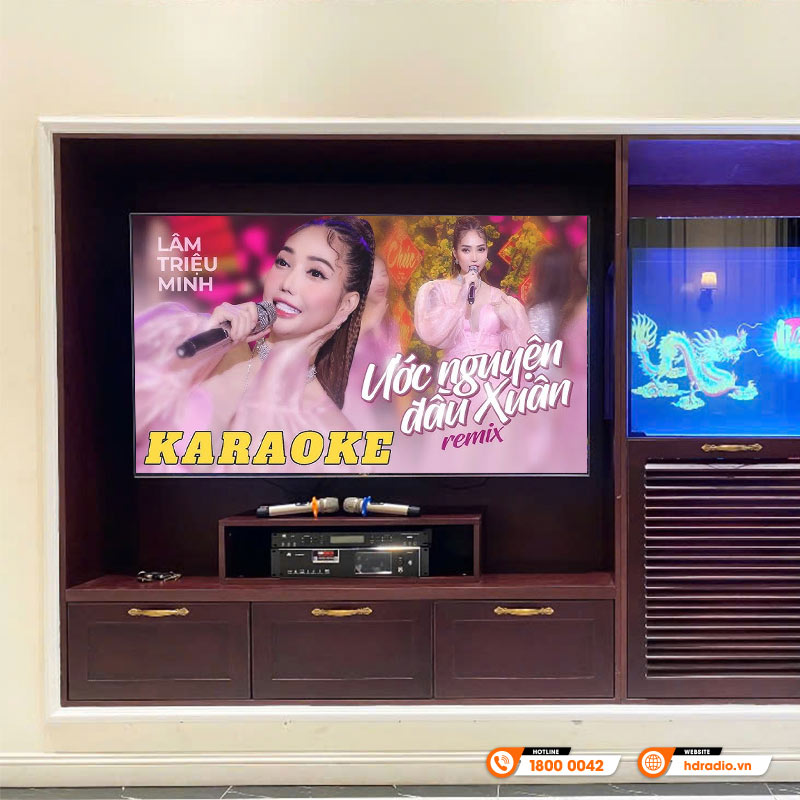 Lắp đặt Dàn karaoke cao cấp cho chị Hảo ở Hà Nội