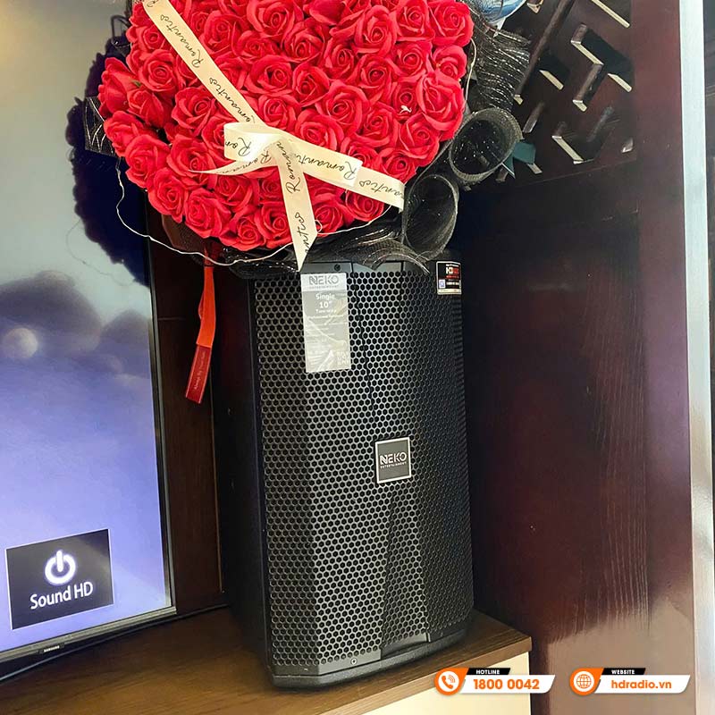 Lắp đặt Dàn Karaoke chất lượng cho chị Thuỳ Anh ở Hà Nội