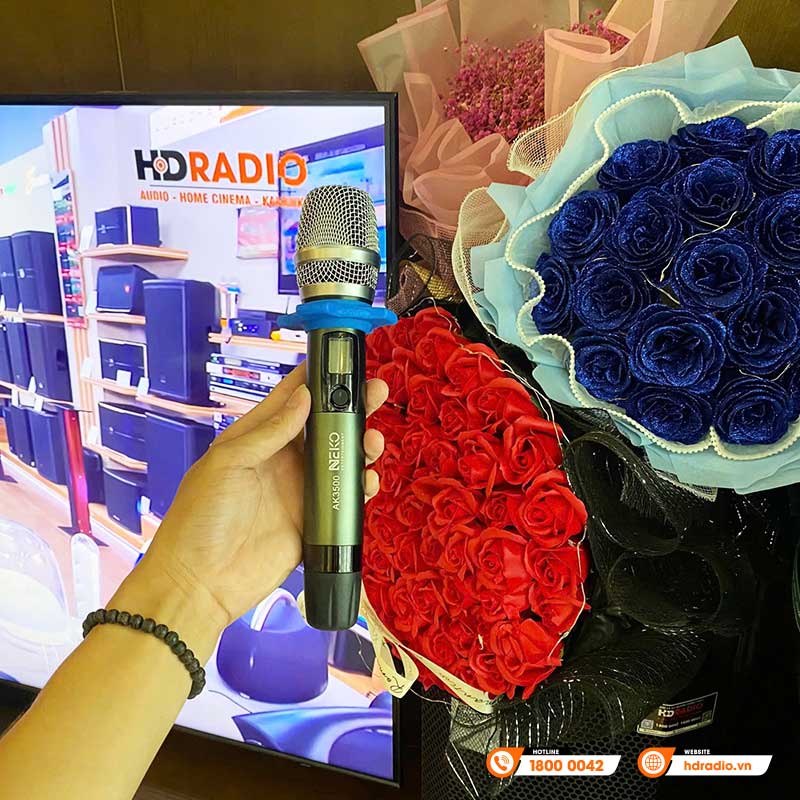 Lắp đặt Dàn Karaoke chất lượng cho chị Thuỳ Anh ở Hà Nội