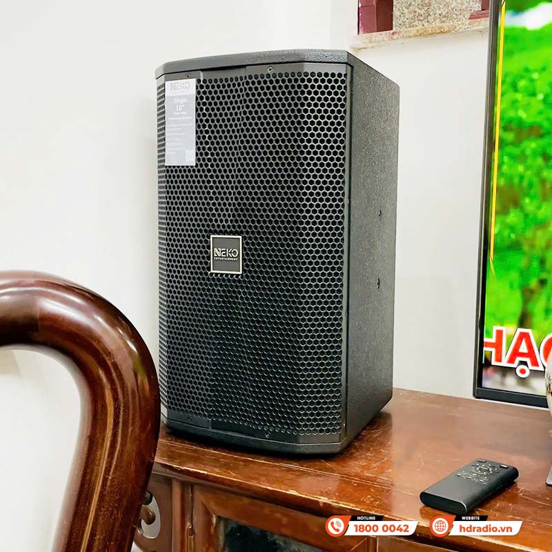 Loa NEKO NX10, Bass 25cm, 300W-11