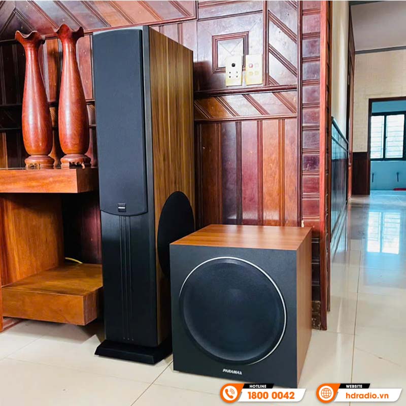 Dàn karaoke Paramax HK20 (Paramax D88 Limited, Neko DK1000, Công suất, Micro K300)-19