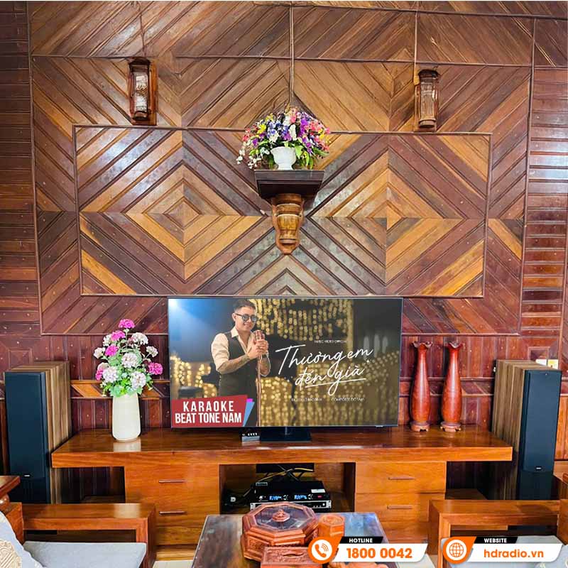 Dàn karaoke Paramax HK20 (Paramax D88 Limited, Neko DK1000, Công suất, Micro K300)-18