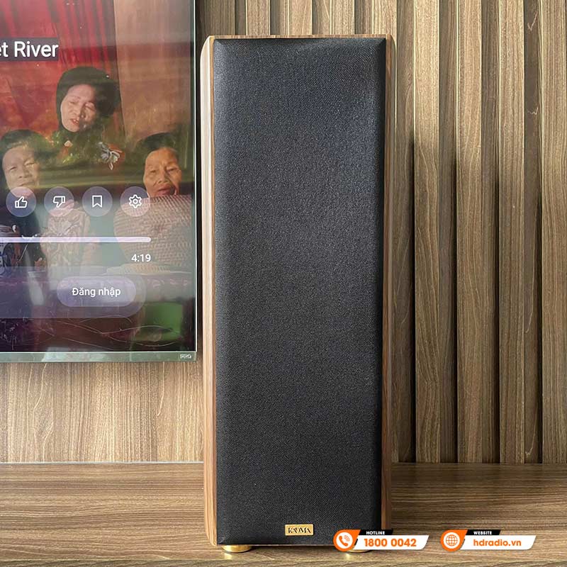 Dàn loa Kadma BS56 ( 3 Đường Tiếng, Công Suất 300W, Bluetooth, Optical, HDMI, Kèm 2 mic, điều khiển )-19