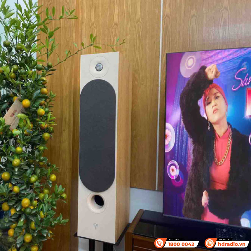 Dàn nghe nhạc của anh Việt ở Hà Nội