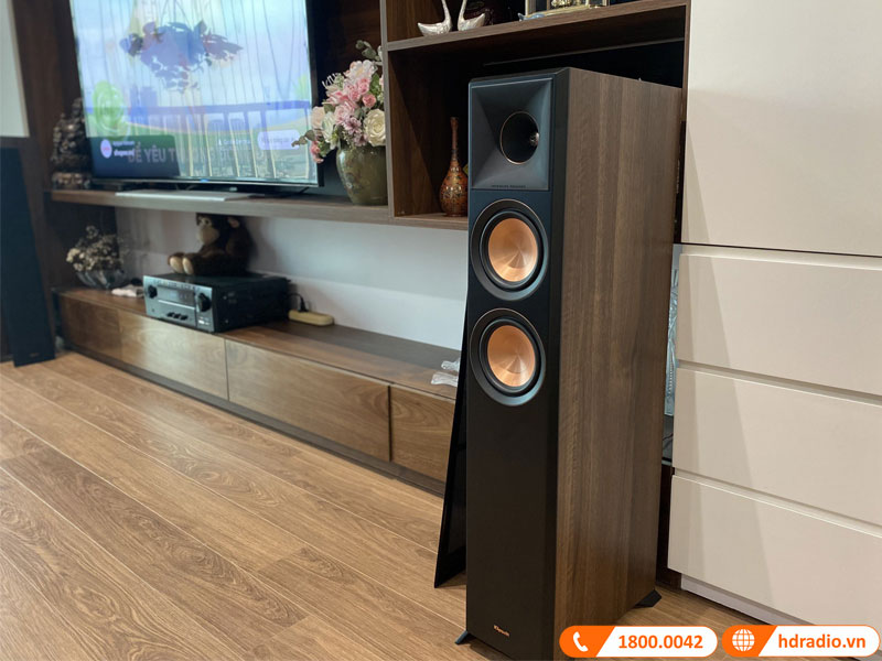 Bộ dàn nghe nhạc NN50 nhà chú Thông