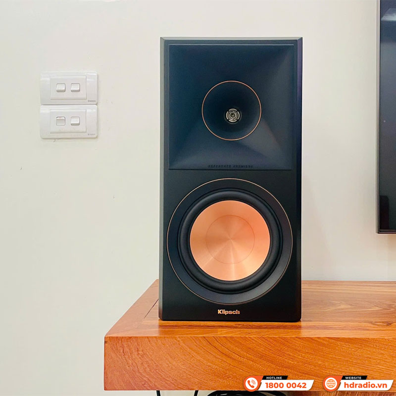 Dàn nghe nhạc mini GT51 (Klipsch RP-600M II, Network Streamer WiiM Amp)-3