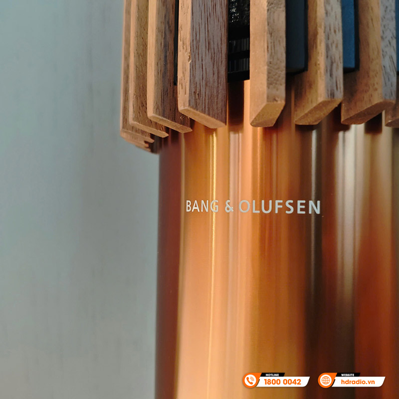 Loa B&O Beolab 28 Chính Hãng, Công Suất 625W/Chiếc, Bluetooth 5.0, Wifi, Chromecast, Airplay 2, Optical-19