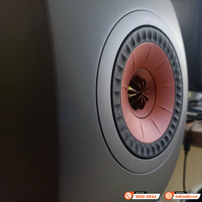 Hệ thống nghe nhạc cao cấp của anh Philippe LUCAS Hệ thống nghe nhạc cao cấp của anh Philippe LUCAS