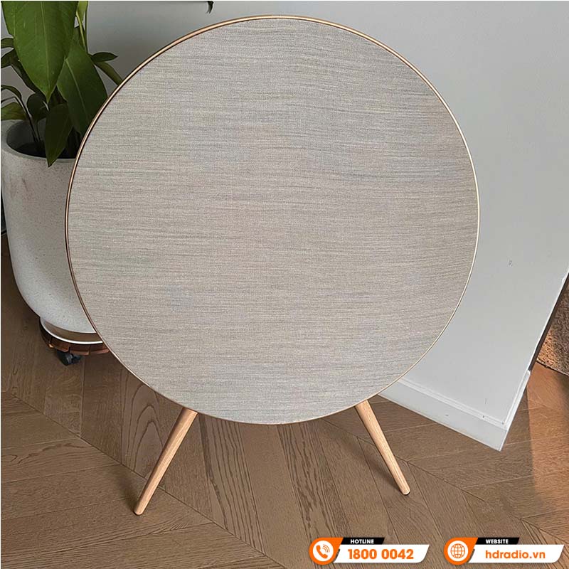  Loa B&O Beosound A9 MK5