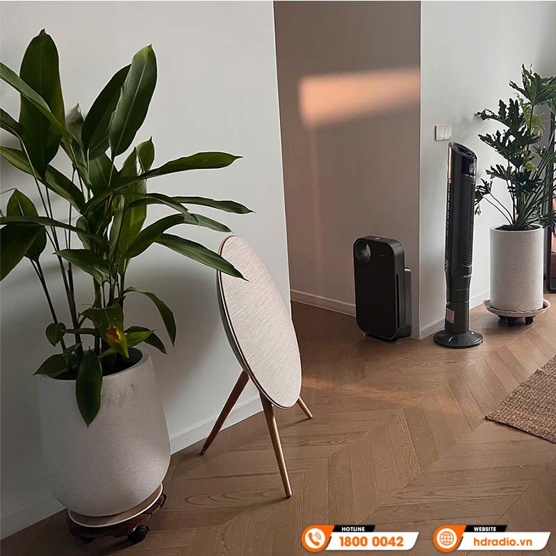  Loa B&O Beosound A9 MK5 