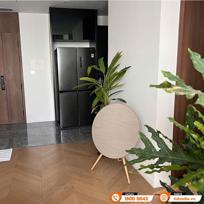  Loa B&O Beosound A9 MK5