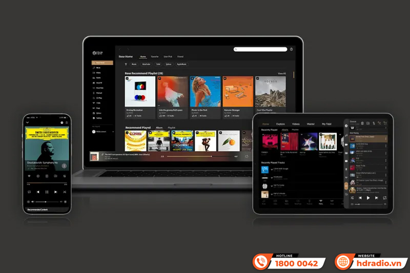 Music Server HiFi Rose RS130