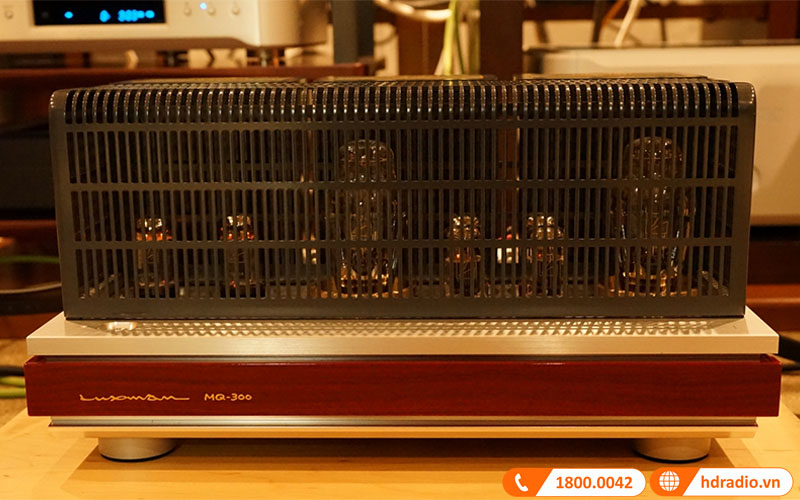 ngoại hình cổ điển