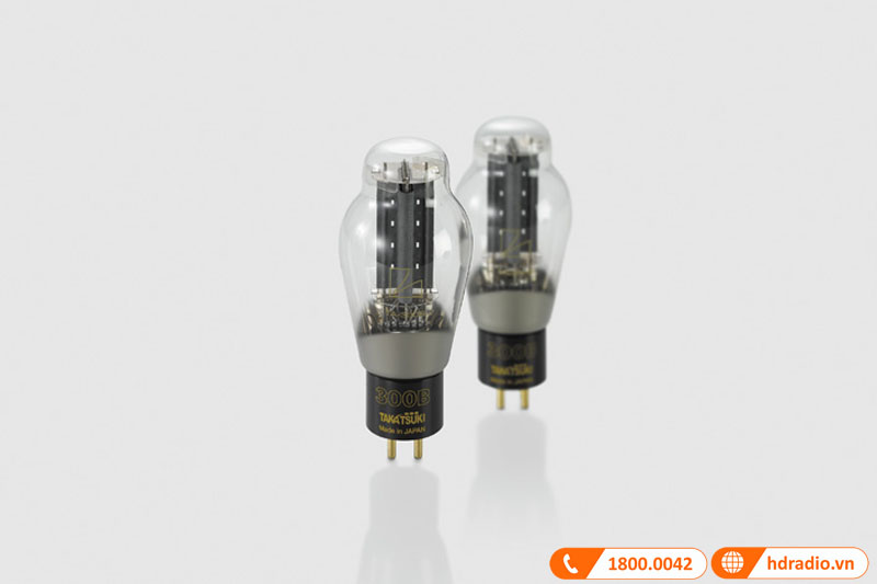 Cấu hình mạch đơn 300B