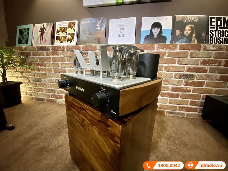 amply lý tưởng chơi nhạc cổ điển, nhạc jazz