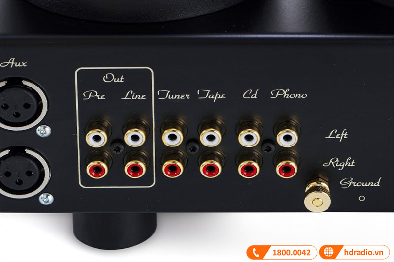 cổng kết nối RCA và XLR