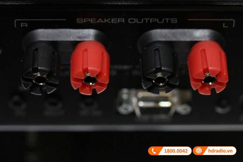 cổng kết nối với loa