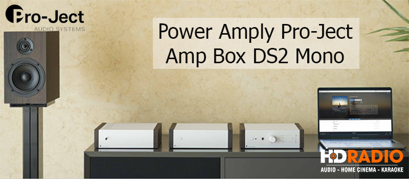 Amp Box DS2 Mono