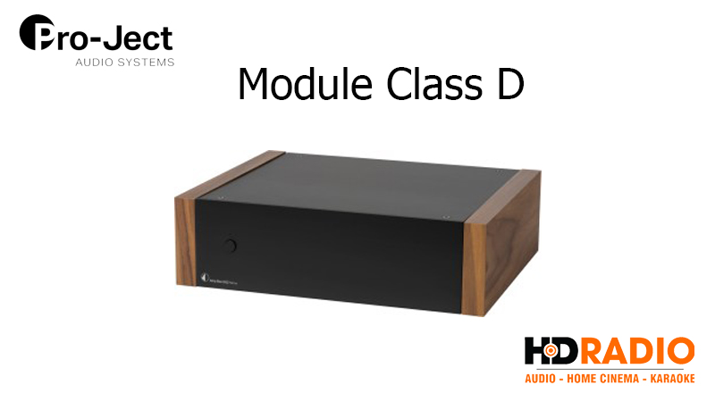 Module Amp Box DS2 Mono