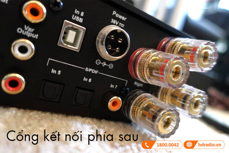 Ket noi Amply Pro-Ject MaiA DS2