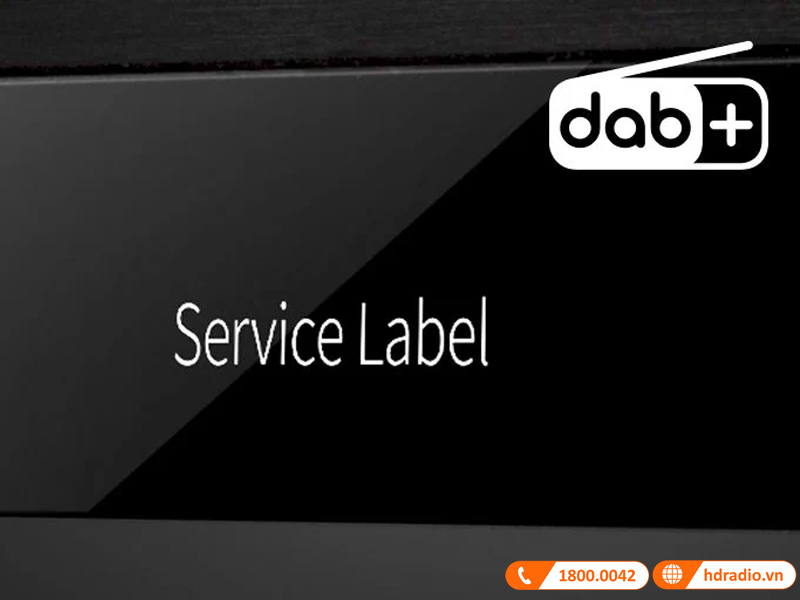 Amply Yamaha R-N800A 