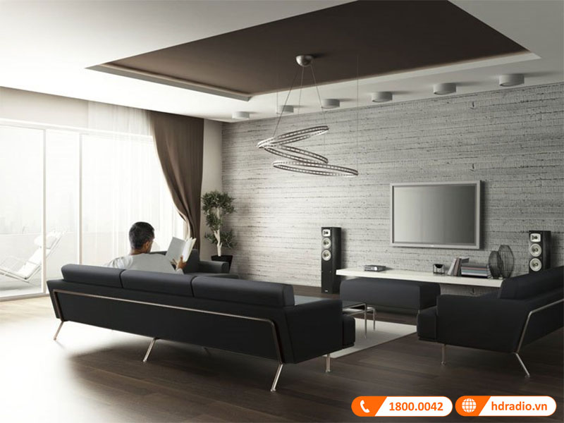 sử dụng trong hệ thống xem phim tại gia