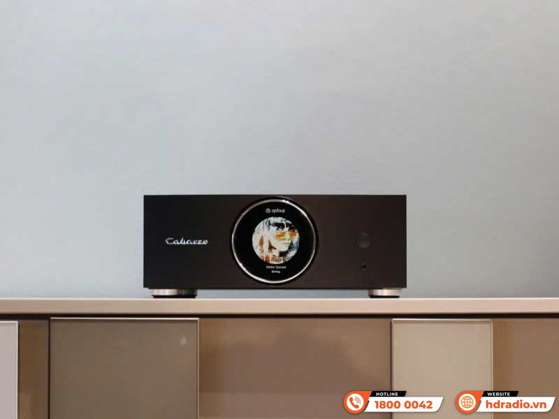 Kết nối đa phòng Amply Cabasse ABYSS