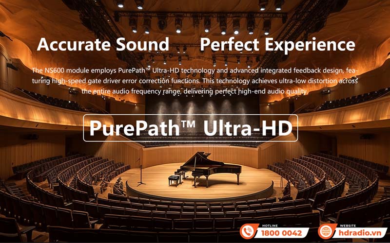 Power Amply Eversolo AMP-F2