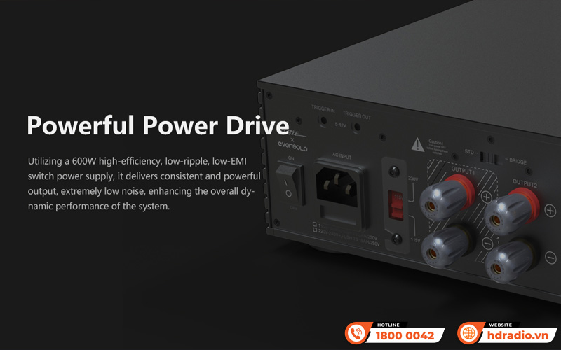 Power Amply Eversolo AMP-F2