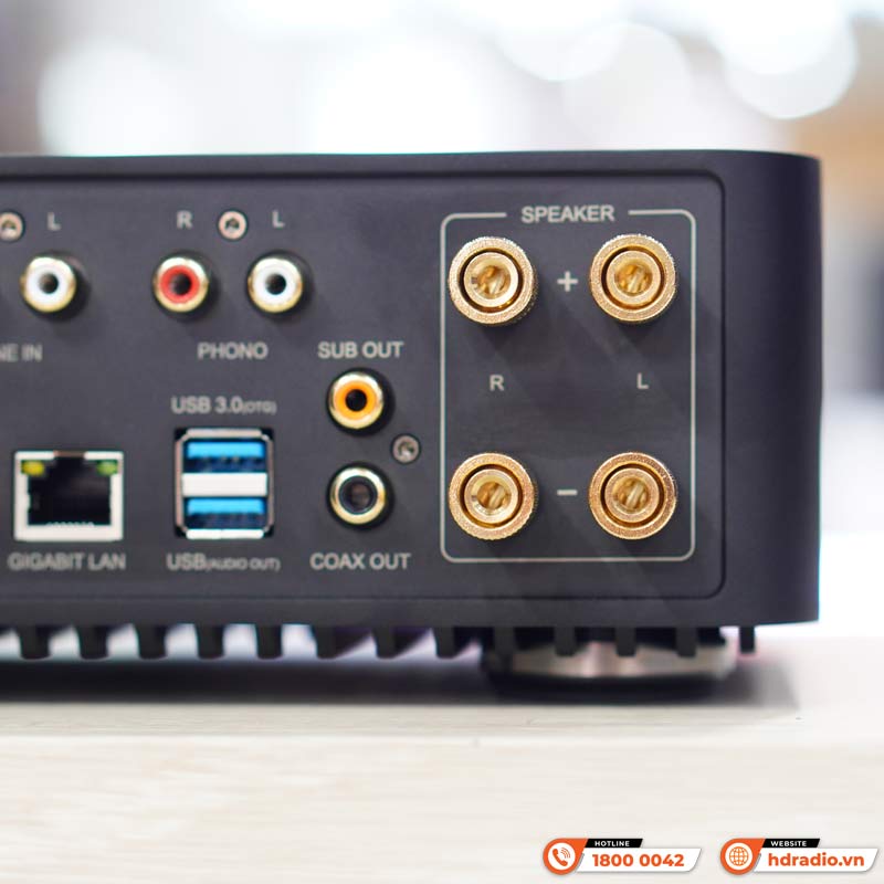 Amply Eversolo Play CD Edition, 2 kênh, 60W ở 8ohm và 110W ở 4ohm, Music Streamer, DAC, Bluetooth 5.3, HDMI ARC, Optical, Coaxial-10