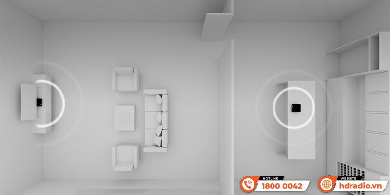 Amply Eversolo Play CD Edition