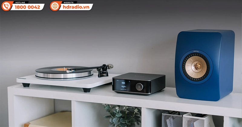 Amply WiiM Amp Ultra