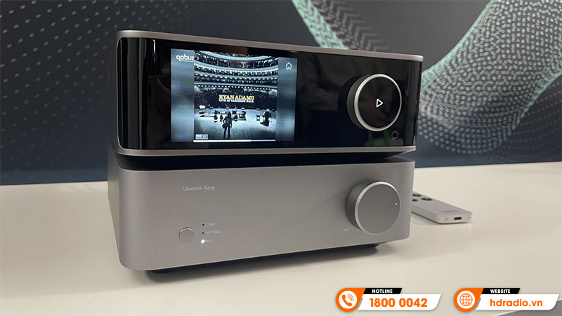 Amply WiiM Vibelink Amp 